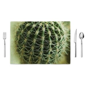Mata kuchenna Home de Bleu Cactus Zoom, 35x49 cm