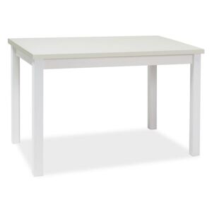 Stół ADAM 60x100 biały mat ☞ Kupuj w Sprawdzonych i wysoko Ocenianych sklepach