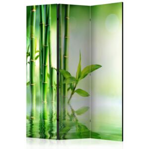 Parawan 3-częściowy - Zielony bambus