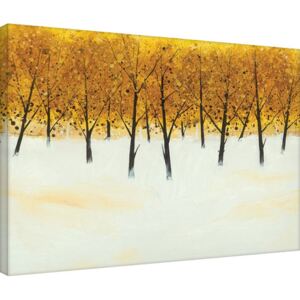 Stuart Roy - Yellow Trees on White Obraz na płótnie, (80 x 60 cm)