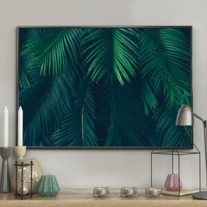 DecoKing - Plakat ścienny - Palm Leaves 40x50 cm