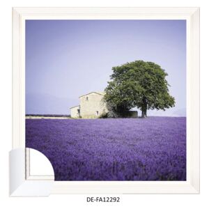 Obraz Beautiful Provence 70x70 DE-FA12292 MINDTHEGAP DE-FA12292 | SPRAWDŹ RABAT W KOSZYKU !