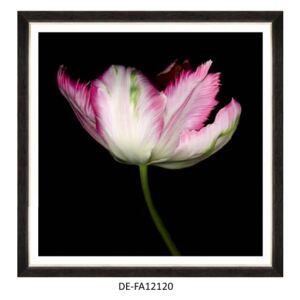 Obraz Beautiful Tulip III 70x70 DE-FA12120 MINDTHEGAP DE-FA12120 | SPRAWDŹ RABAT W KOSZYKU !