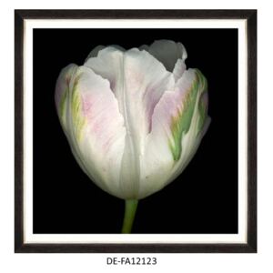 Obraz Beautiful Tulip IV 90x90 DE-FA12123 MINDTHEGAP DE-FA12123 | SPRAWDŹ RABAT W KOSZYKU !