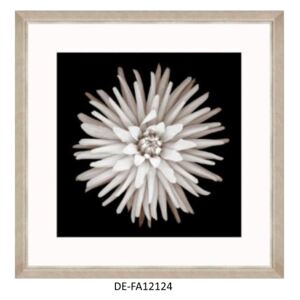 Obraz Cactus Dahlia 70x70 DE-FA12124 MINDTHEGAP DE-FA12124 | SPRAWDŹ RABAT W KOSZYKU !