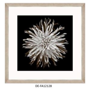 Obraz Dahlia Blossom 70x70 DE-FA12128 MINDTHEGAP DE-FA12128 | SPRAWDŹ RABAT W KOSZYKU !