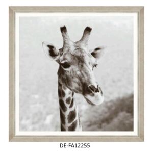 Obraz Giraffe Head 90x90 DE-FA12255 MINDTHEGAP DE-FA12255 | SPRAWDŹ RABAT W KOSZYKU !