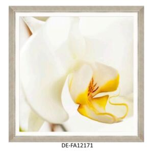 Obraz Orchid Bloom I 90x90 DE-FA12171 MINDTHEGAP DE-FA12171 | SPRAWDŹ RABAT W KOSZYKU !