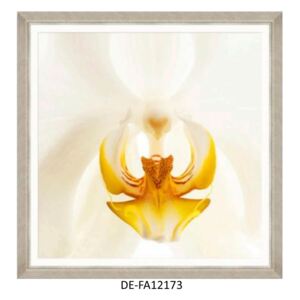 Obraz Orchid Bloom II 90x90 DE-FA12173 MINDTHEGAP DE-FA12173 | SPRAWDŹ RABAT W KOSZYKU !