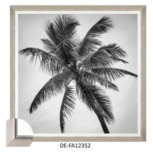 Obraz Palm Splendor I 70x70 DE-FA12352 MINDTHEGAP DE-FA12352 | SPRAWDŹ RABAT W KOSZYKU !