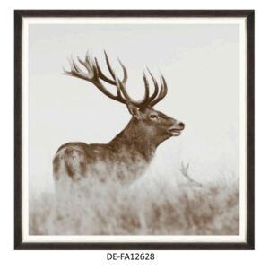 Obraz Red Deer 70x70 DE-FA12628 MINDTHEGAP DE-FA12628 | SPRAWDŹ RABAT W KOSZYKU !