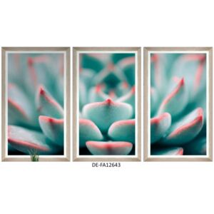 Obraz trzyczęściowy Succulent Tryptich 180x100 DE-FA12643 MINDTHEGAP DE-FA12643 | SPRAWDŹ RABAT W KOSZYKU !