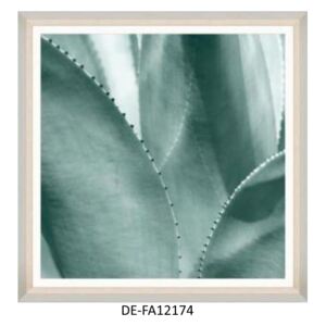 Obraz Succulent I 70x70 DE-FA12174 MINDTHEGAP DE-FA12174 | SPRAWDŹ RABAT W KOSZYKU !