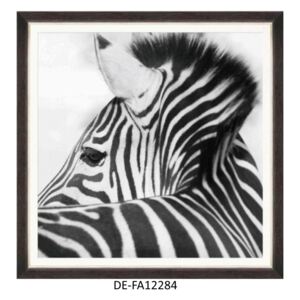 Obraz Zebra Head 70x70 DE-FA12284 MINDTHEGAP DE-FA12284 | SPRAWDŹ RABAT W KOSZYKU !