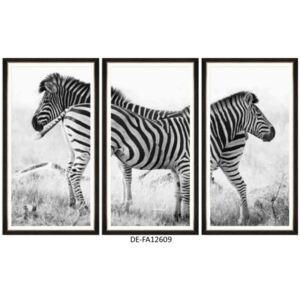Obraz trzyczęściowy Zebra Pair Tryptich 180x110 DE-FA12609 MINDTHEGAP DE-FA12609 | SPRAWDŹ RABAT W KOSZYKU !