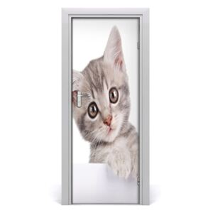 Naklejka samoprzylepna na drzwi ścianę Szary kot