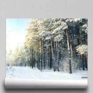 Fototapeta Zimowy las na wschód słońca