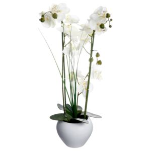 Sztuczna orchidea w wazonie ATMOSPHERA CREATEUR D'INTERIEUR, biała, 53x28x15 cm