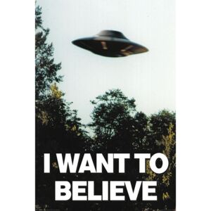 Plakat, Obraz The X-Files - I Want To Believe, (61 x 91,5 cm)