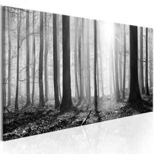 Obraz - Czarno-biały las OBRAZ NA PŁÓTNIE WŁOSKIM