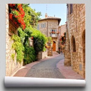 Fototapeta Kwiat prążkowana ulica w miasteczku Assisi, Włochy
