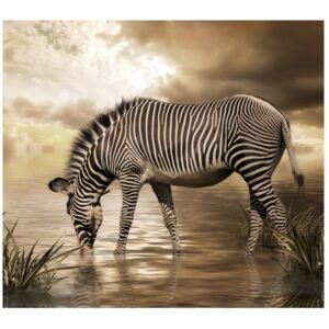 Fototapeta, Zebra przy wodopoju, 6 elementów, 268x240 cm