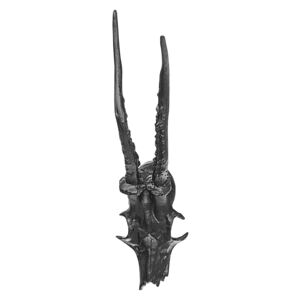 Selsey Dekoracja ścienna Szkielet głowy koziorożca 34 cm czarny