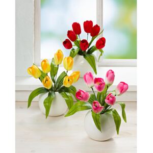 Bukiet tulipanów - czerwona