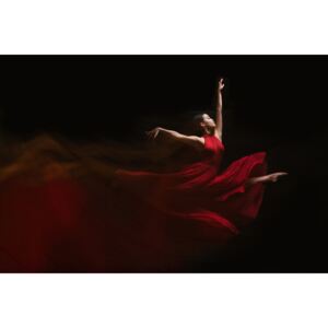 Fotografia artystyczna Flow of Dance, Rob Li