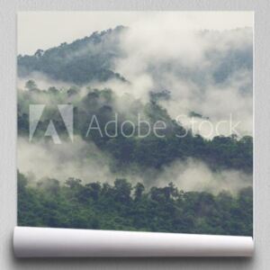 Fototapeta warstwy lasu tropikalnego