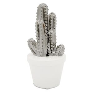 Figurka kaktus Ganacha
