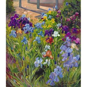 Reprodukcja Irises and Summer House Shadows 1996, Timothy Easton