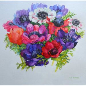 Reprodukcja Anemones red white pink and purple 2000, Joan Thewsey