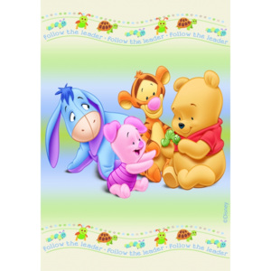 Dywan Disney Kids Baby Pooh 405, Druk Cyfrowy
