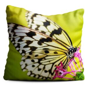 Zielona poduszka Oyo home Butterfly, 40x40 cm