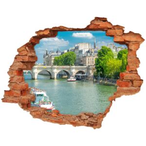 Fototapeta dziura na ścianę 3d Sekwana Paryż