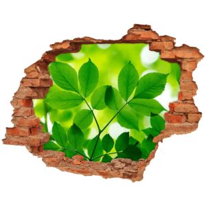 Samoprzylepna dziura naklejka Zielone liście