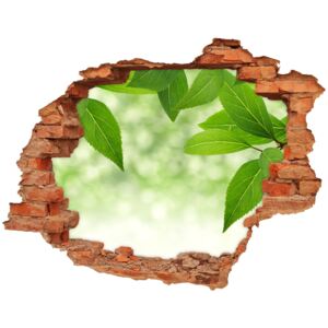 Samoprzylepna dziura naklejka Zielone liście