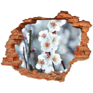Samoprzylepna naklejka fototapeta Kwiaty wiśni