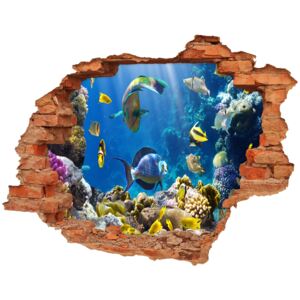 Fototapeta dziura na ścianę Rafa koralowa