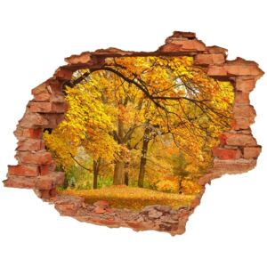 Dziura 3d w ścianie naklejka Jesień w parku