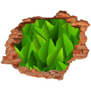 Fototapeta dziura na ścianę Zielone liście