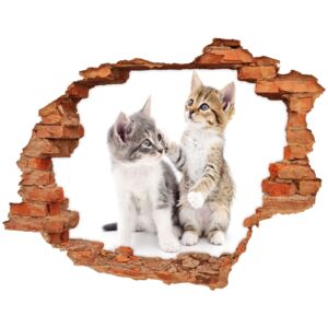 Dziura 3d fototapeta naklejka Dwa małe koty