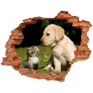 Dziura 3d fototapeta naklejka Pies i kot na łące