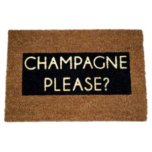 Wycieraczka Artsy Doormats Champagne Glitter, 40x60 cm
