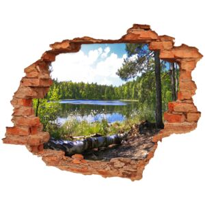Naklejka fototapeta 3D na ścianę Leśna panorama