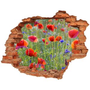 Samoprzylepna dziura na ścianę Polne kwiaty