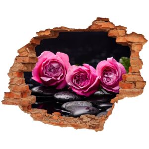 Samoprzylepna dziura na ścianę Różowe róże