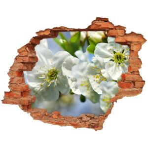 Samoprzylepna dziura naklejka Kwiat wiśni