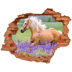 Dziura 3d fototapeta Koń na polu lawendy